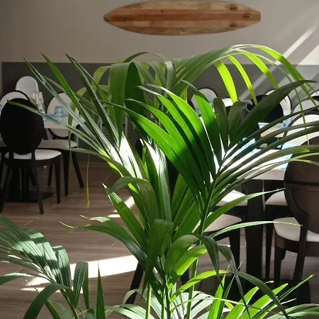 Summer Hotel Calella