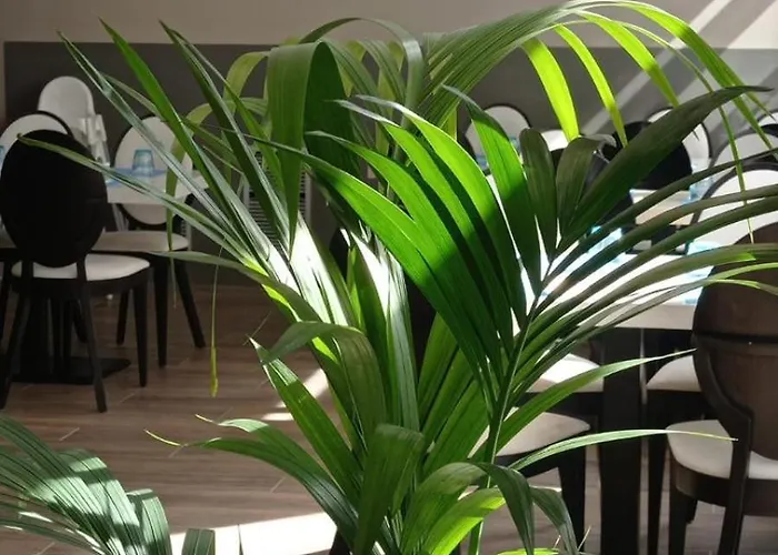 Summer Hotel Calella