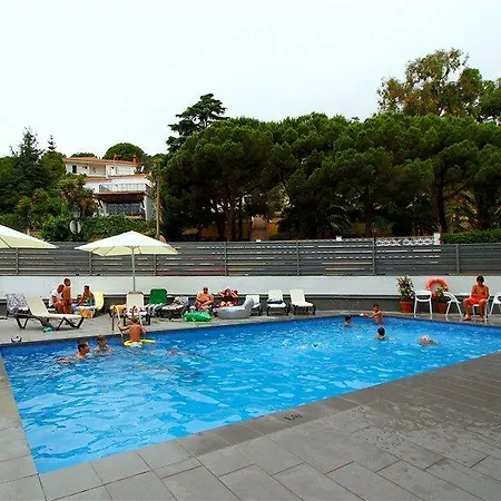 Summer 4*