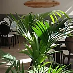 Summer Hotel Calella
